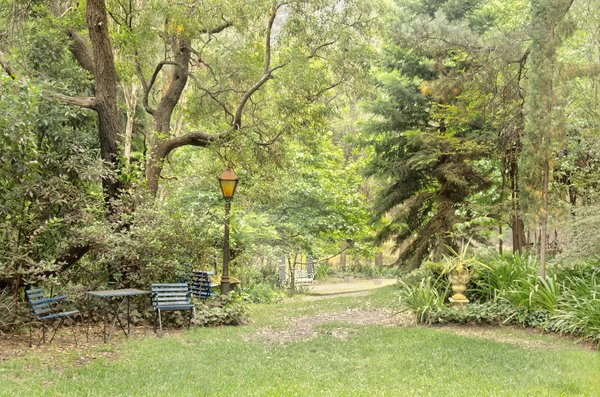 How Can Sensory Gardens Improve Mental Health in Urban Spaces?